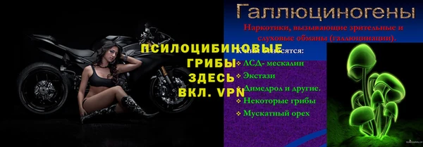 шишки Волоколамск
