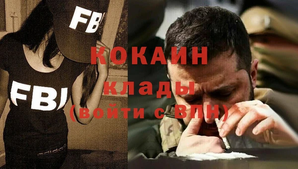 шишки Волоколамск