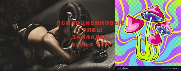 шишки Волоколамск